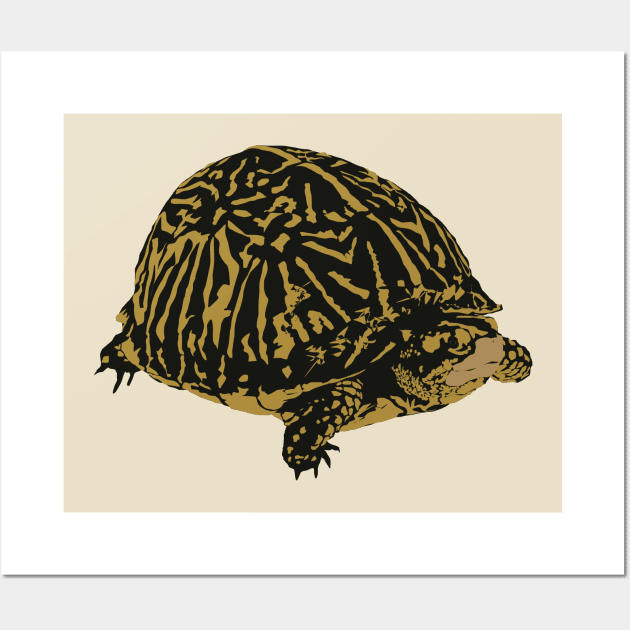 Florida Box Turtle Wall Art by stargatedalek